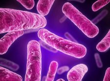 Микобактерии туберкулеза: биологические свойства и важные особенности жизнедеятельности
