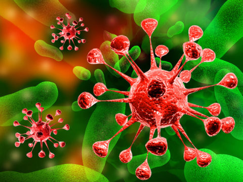 Бактерии и вирусы как провокаторы пневмонии.