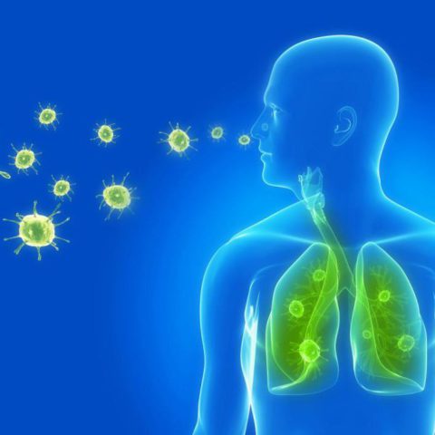 Бактерии, вдыхаемые человеком, могут стать причиной развития пневмонии