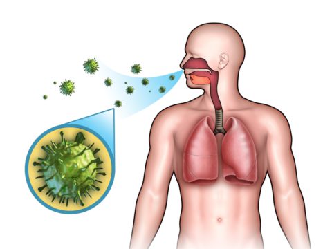 Больные выделяют бактерии в воздух при кашле