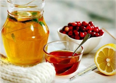 Чай с лимоном и морсы – не только витаминное питье, но и метод дезинтоксикации организма