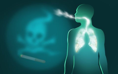 Дыхательная система заядлого курильщика может быть полностью восстановлена.