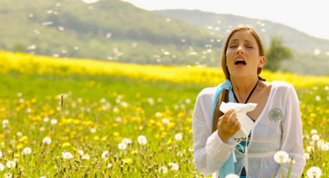Гиперчувствительность организма к определенным аллергенам вызывает хроническое заболевание дыхательной системы – бронхит.