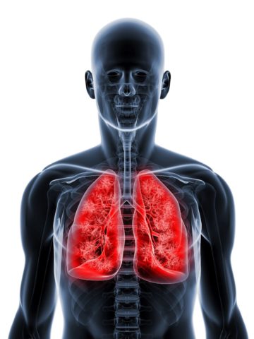 Как восстановить здоровье дыхательной системы.