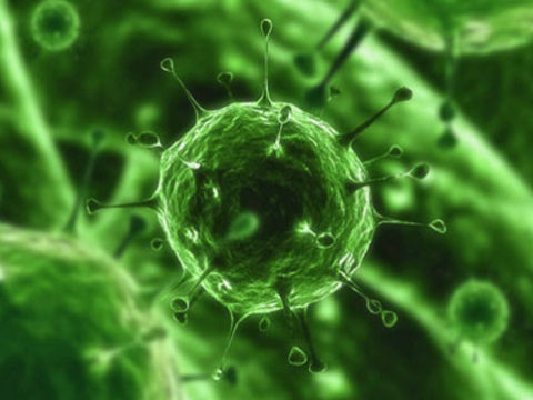 Какие вирусы могут провоцировать симптомы пневмонии.