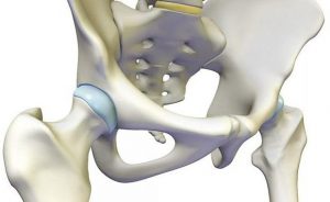 Строение и лечение костно-суставной системы