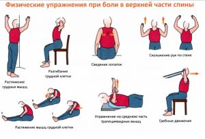 Гимнастика для позвоночника при остеохондрозе