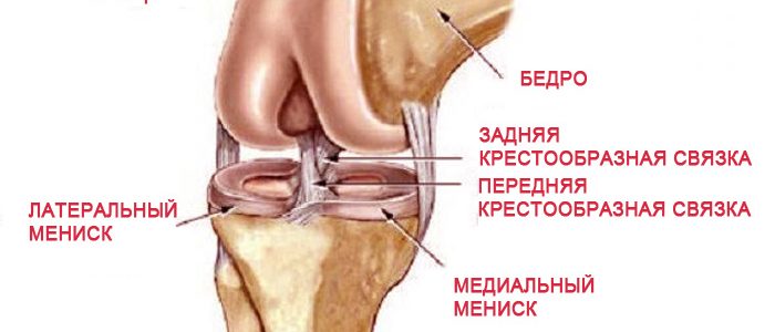 Менископатия колена