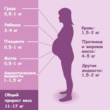 Увеличение веса при беременности