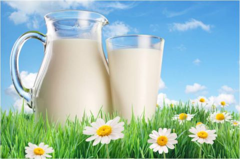 Натуральное молоко идеально сочетается с барсучьим жиром.