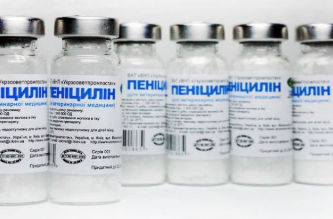 Лечение сифилиса Пенициллин