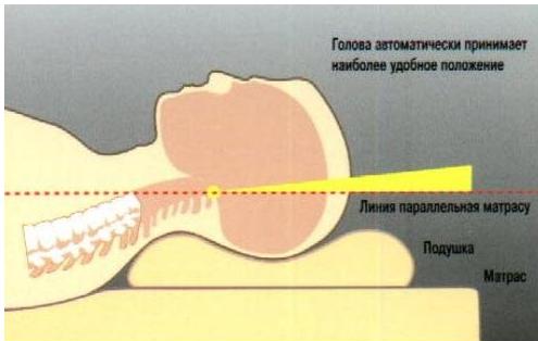Правильное Положение головы на ортопедической подушке