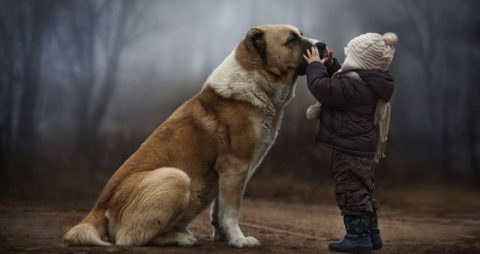 Ребенок и собака фото