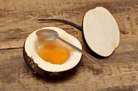 Редька с медом – одно из наиболее популярных средств для лечения бронхитов.