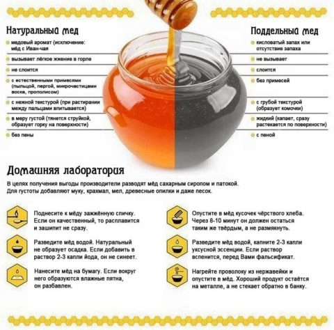 Рекомендации для определения натуральности пчелиного меда