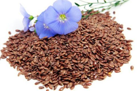 Семя льна способствует устранению изнуряющего кашля, а также оказывает благотворное влияние на организм в целом.