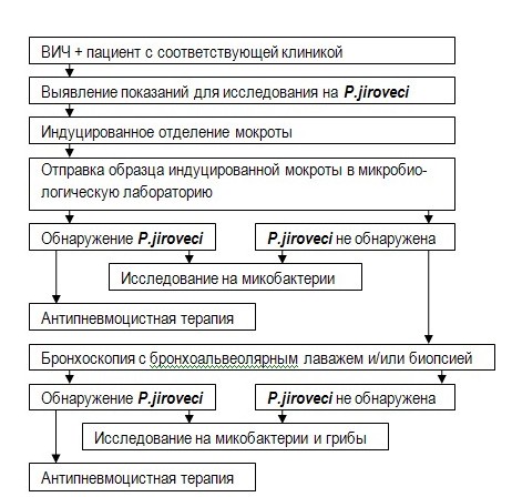 Схема 1. Алгоритм обследования при подозрении на пневмоцистоз