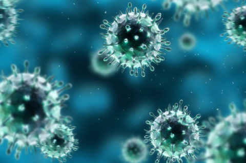 Схематическое изображение вируса гриппа