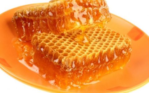 Сотовый мед – ценнейшее лекарственное средство от многих заболеваний