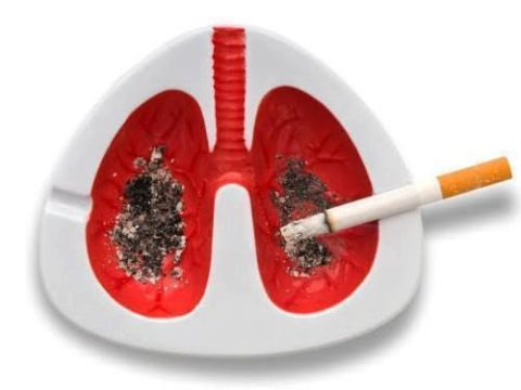 Статистические данные о туберкулезе подтверждают опасность курения.