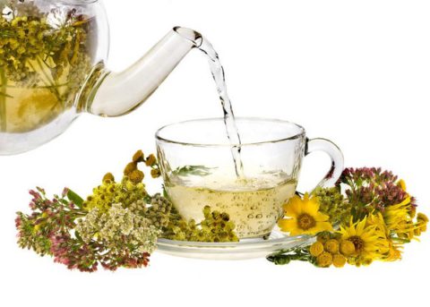 Травяные чаи – польза для организма