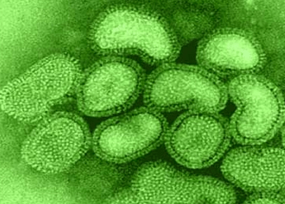 Вирус гриппа находится в организме.