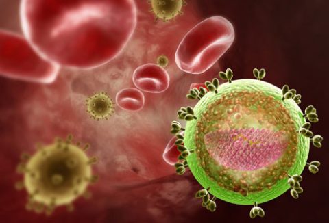 Вирус СПИДа на Т-лейкоците