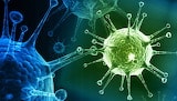 Вирусную форму болезни вызывают в основном респираторные вирусы