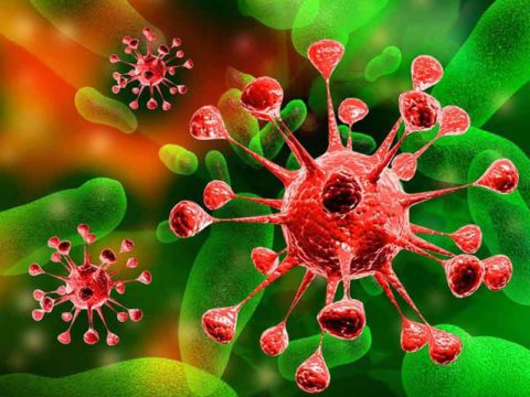 Возбудителями бронхита могут быть как вирусы, так и бактерии, а также атипичные формы жизни
