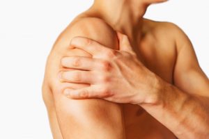 Функции и анатомия плечевой кости человека